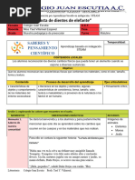 Muestra PP Pasta de Dientes para Elefantes