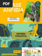 Anfibios