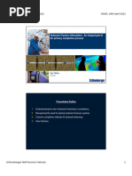 Hydraulic Fracture Stimulation1