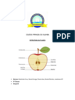 Trabalho de Biologia