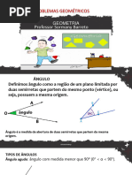 Geometria Teoria PDF