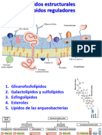 Clase 3. Lípidos Estructurales y Lípidos Reguladores