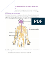 Nervous System