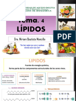 Tema 3 LIPIDOS