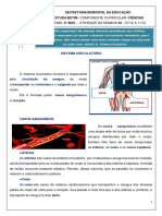 Atividade de Ciências-Semana 23-5º Ano