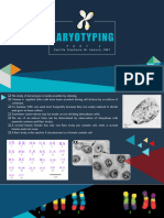 Karyotyping Part 2