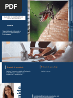 Semana 14 Leishmaniasis y Leptopirosis