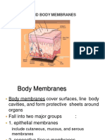 Body Membranes