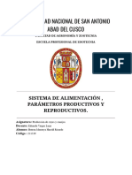 Sistema de Alimentacion y Parámetros