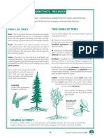 Forests I - Tree Facts