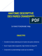 Paires Craniennes 1