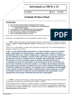 Atividade Prática Introdução As NR 01 A 12