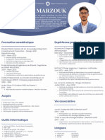 CV - Gestion de Projets