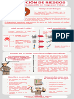 Infografia Percepcion de Riesgos