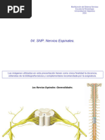 Ns. Espinales MFSN K UV 2024.