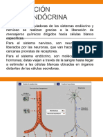 Integración Neuroendócrina