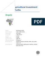 Angola Country Profile Final