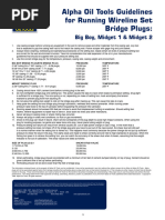 Guidelines Temppressureratings Wirelinesetbridgeplug v1