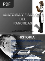 Pancreas