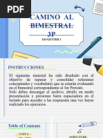 Camino Al Bimestral 3p Grado 4