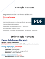 Embriología Humana: Segmentación: Mórula-Blástula