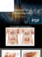 Emergencias Nefrourologicas