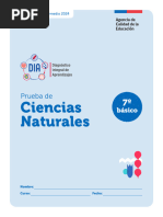 Prueba Ciencias Monitoreo 2024 7 Basico