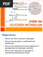 14 Glycogen Metabolism