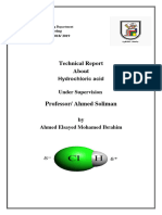 Professor/ Ahmed Soliman: Technical Report About