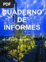 Cuaderno DE Informes: De: Loza Quispe Luis Gerardo