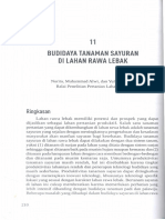 Budidaya Tanaman Sayuran Di Lahan Rawa Lebak