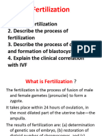 Fertilization 1