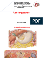 Cáncer Gastrico 2024