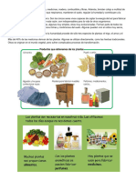 Beneficios Que Nos Proporcionan Las Plantas