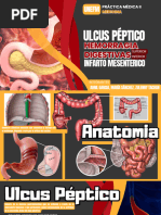 SEM - Ulcus, Hemorragia, Infarto Mesenterico - 20240704 - 021856 - 0000