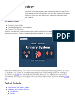 Anatomy (Urinary System)