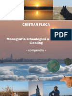 Monografia Arheologica A Localitatii Liebling Compendiu