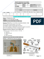 Séq 2 IBM 2ndea