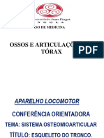 Ossos e Articulações Do Tórax