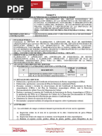 TDR Contratacion de Monitoreo Arqueologico (Pillones)