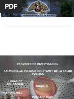 Proyecto Salmonella