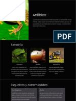 Anfibios