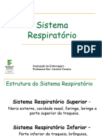 Sistema Respiratorio