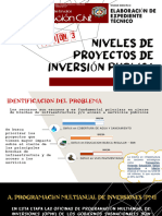 SESION 3 Niveles de Proyectos de Inversión Publica 22222