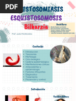 Esquistosomiasis Diapositivas