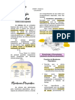 APG 2 Biologia Molecular PDF