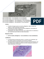 Correção p2 Histo