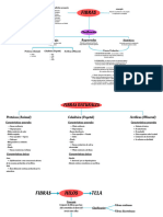 Mapa Conceptual - LT - 20240718 - 165346 - 0000