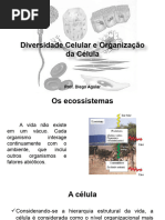 Diversidade Celular e Organização Da Célula