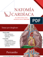 Anatomia Cardiaca